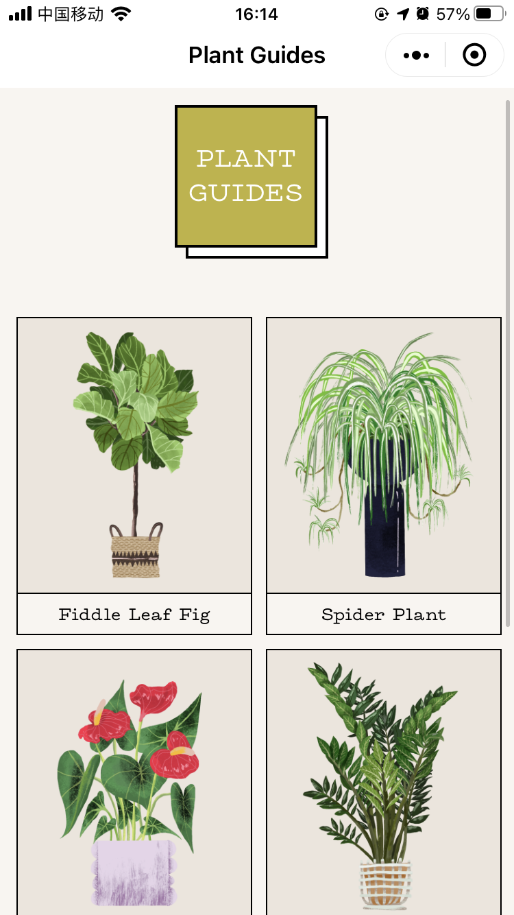 植物养护指南