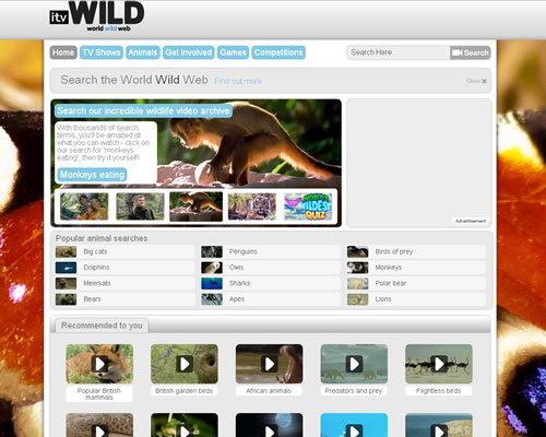 野生动物网：iTVWild
