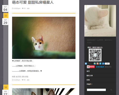 猫猫唯美图片、经典语录：猫言猫语