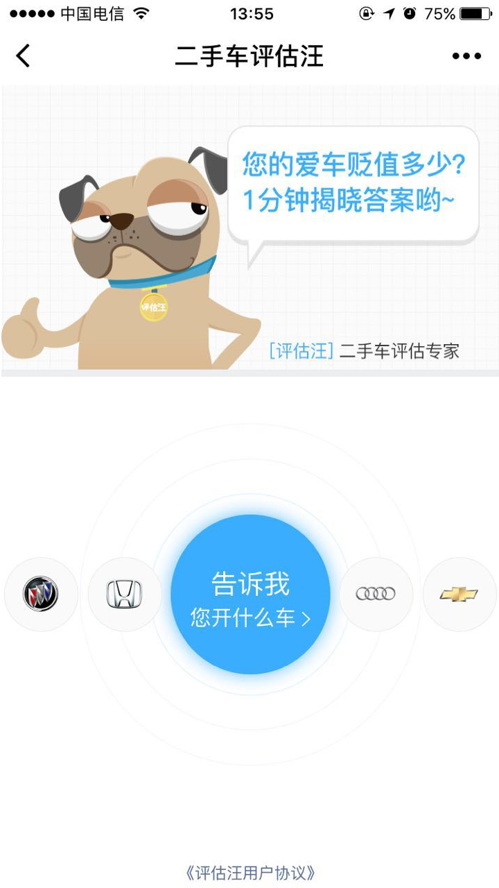 二手车评估汪