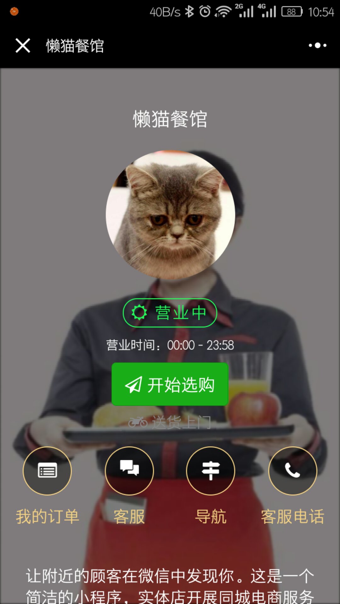 懒猫欧洲