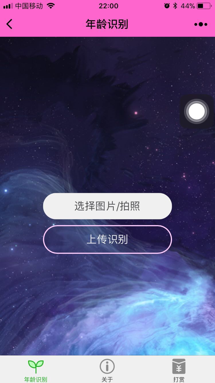 年龄识别