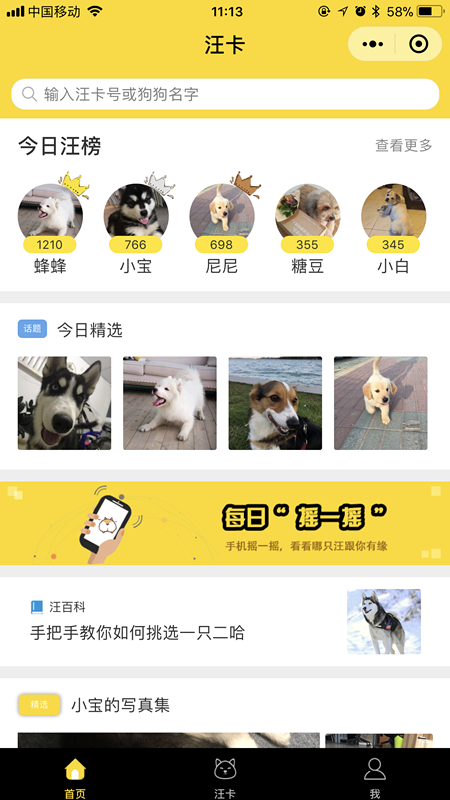 汪卡DogeCard