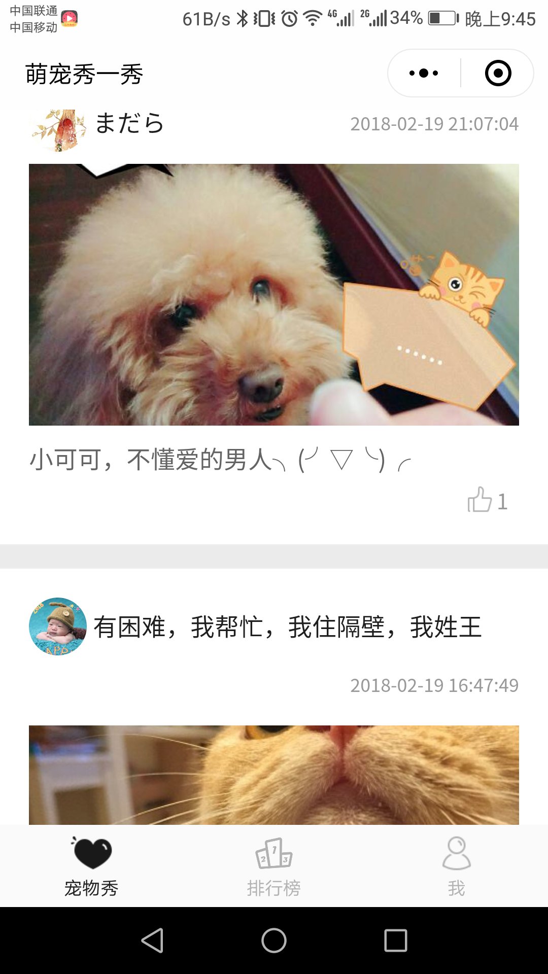 萌宠秀一秀