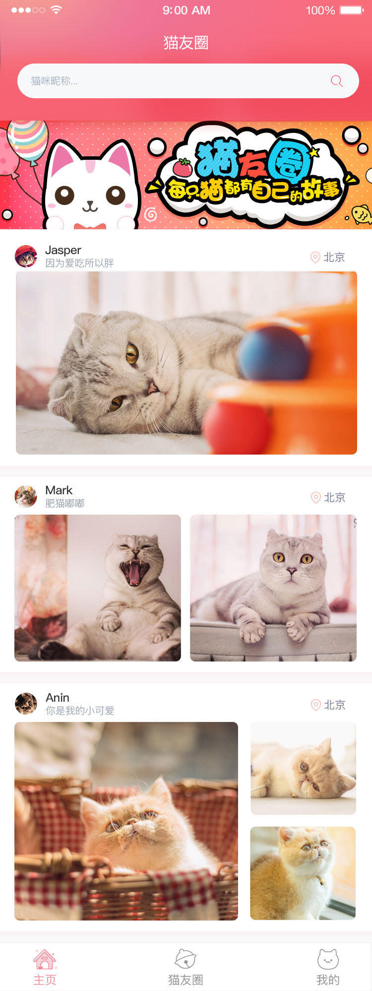 猫友圈Meow