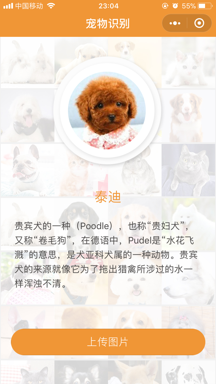 品种识别