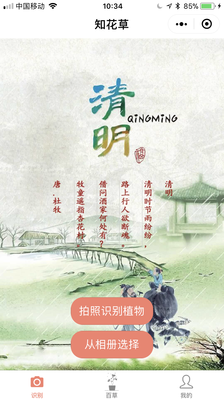 知花草