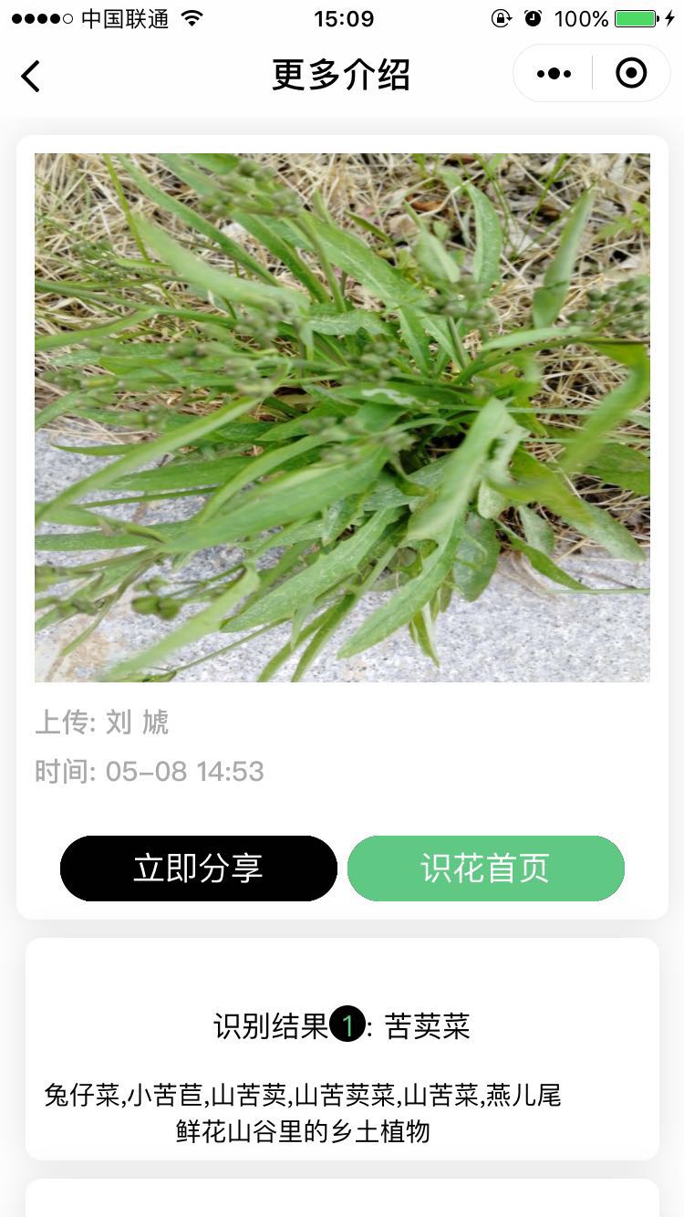 牡丹识花卉