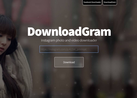 DownloadGram|在线INS资源下载工具