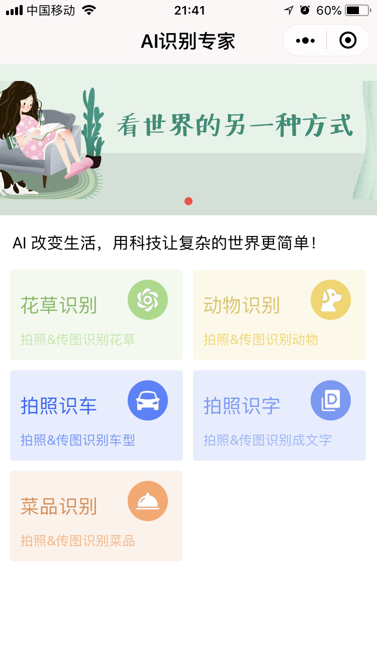 AI识别专家