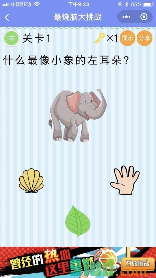 最烧脑大挑战
