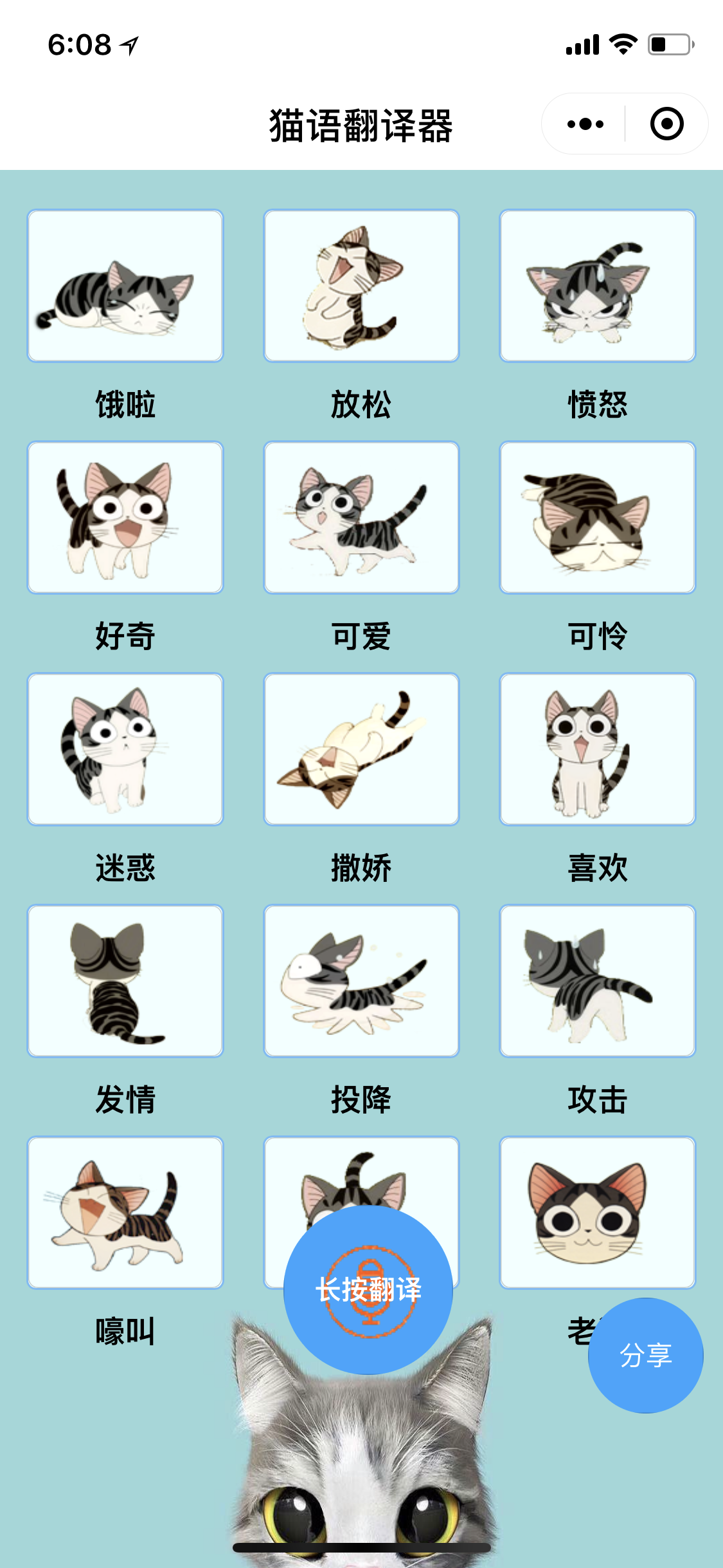 铲屎官撸猫神器