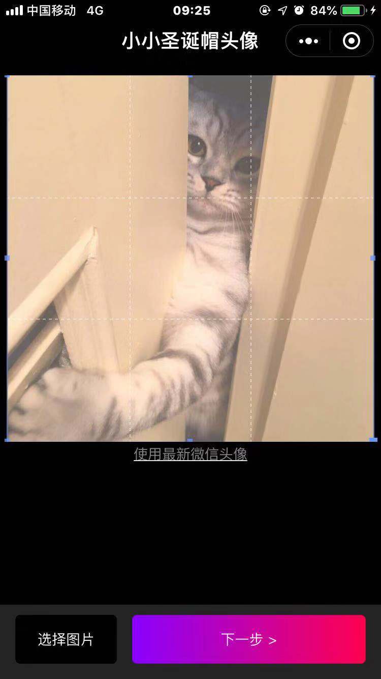 小小圣诞帽头像