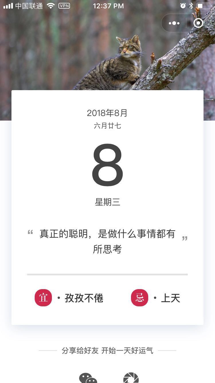 今日幸运签