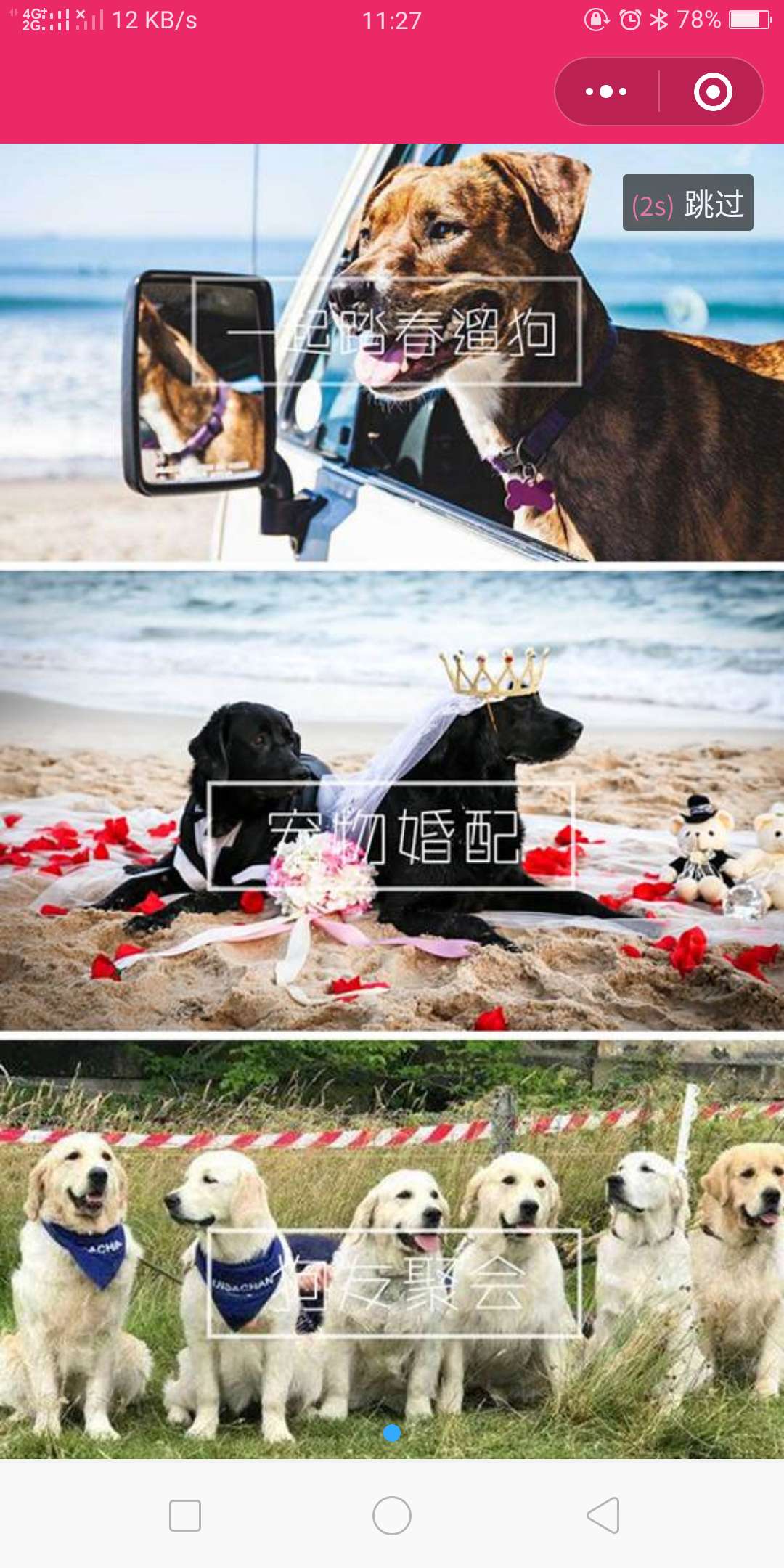 同城Pet圈