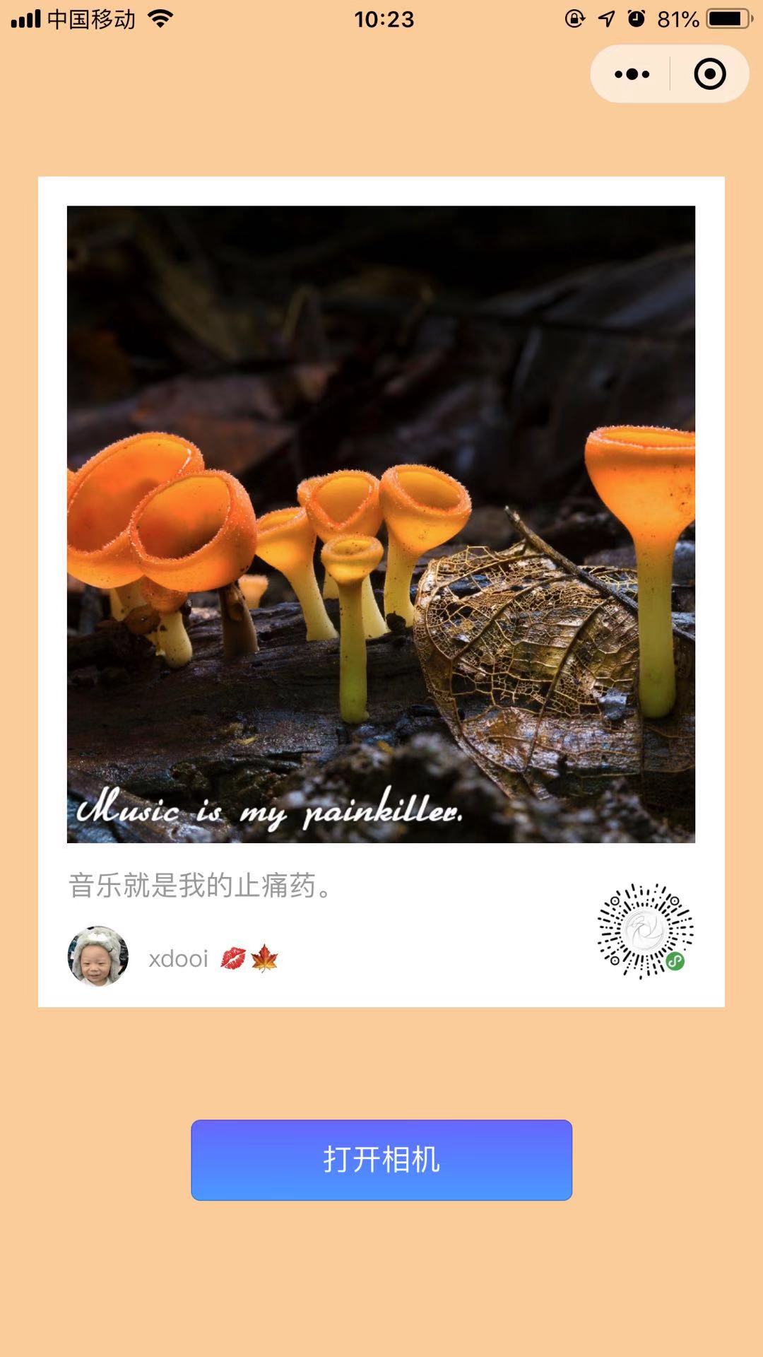 速照