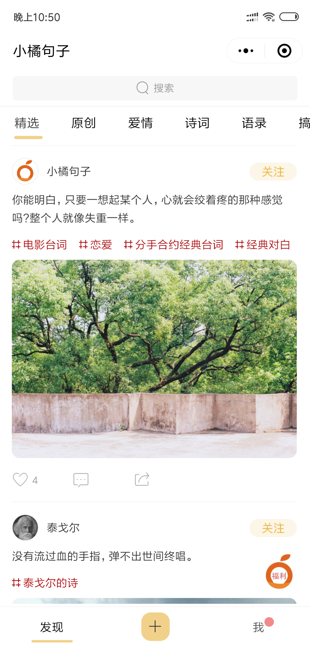 小橘句子