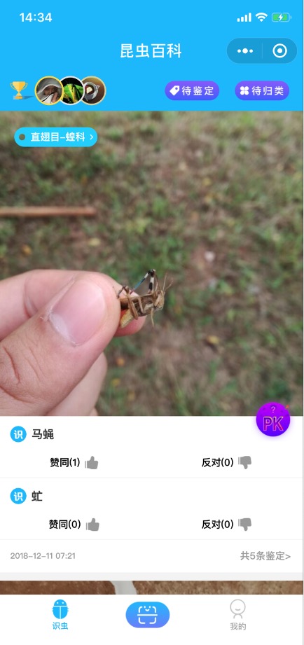 昆虫百科