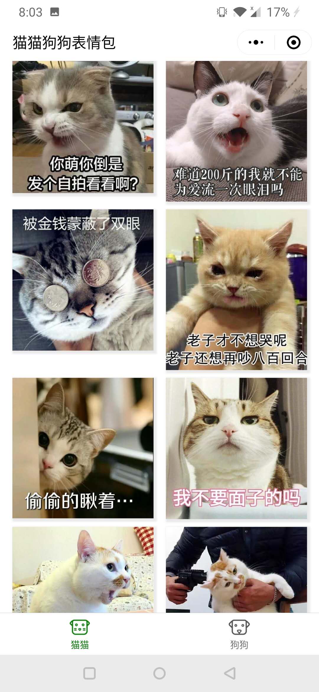 猫猫狗狗表情包