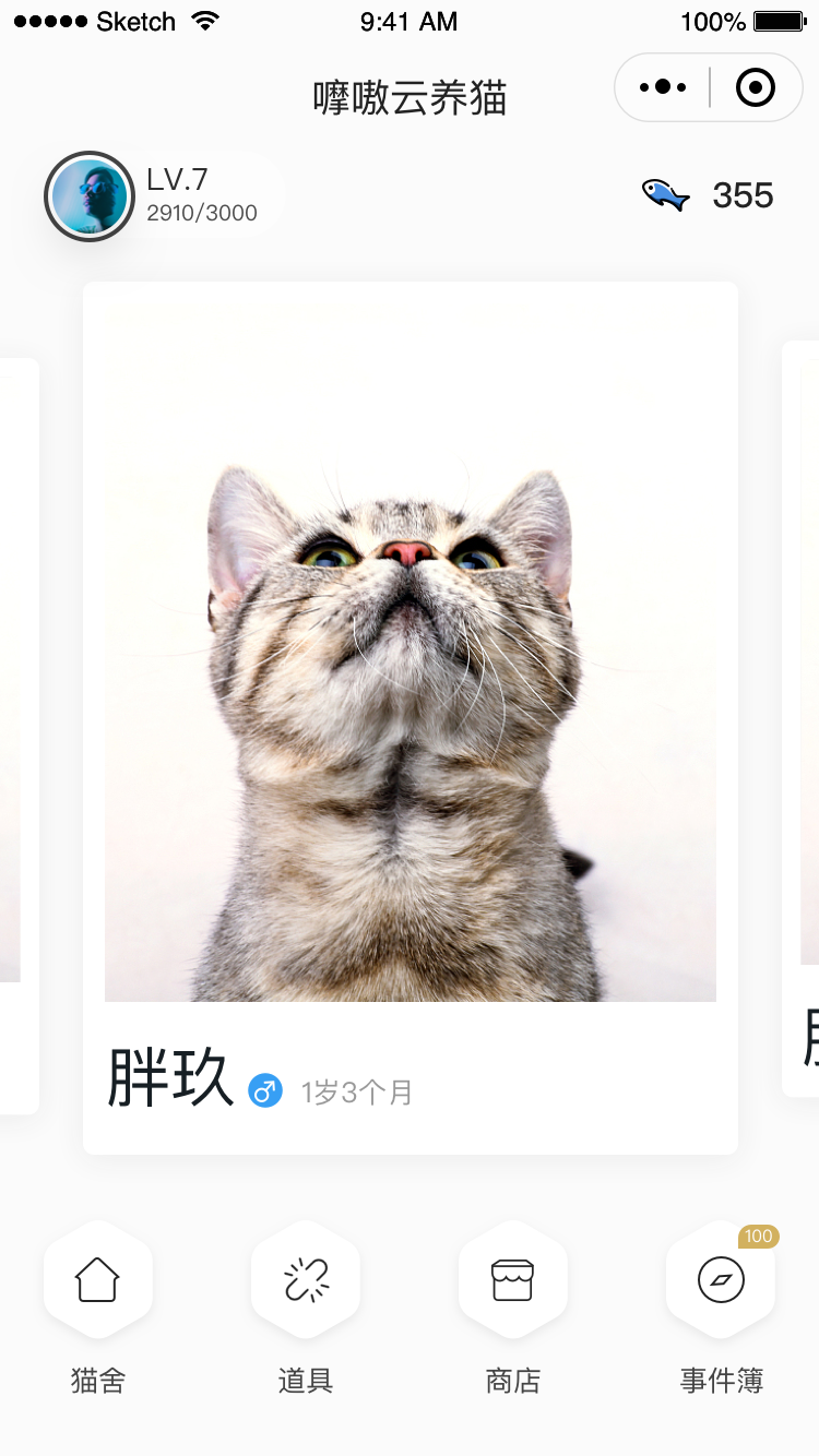 嚤嗷云养猫