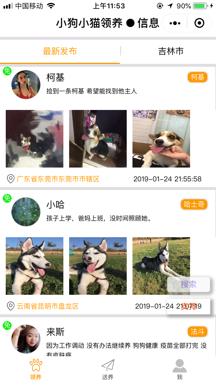 宠物领养送养
