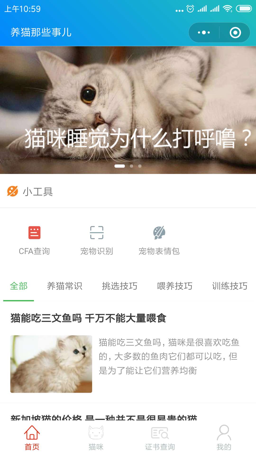 养猫那些事儿