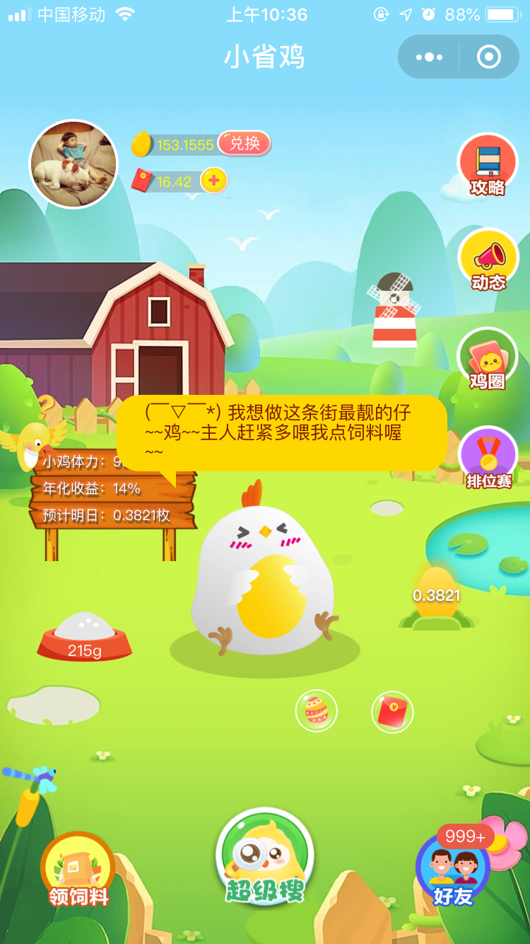 小省鸡