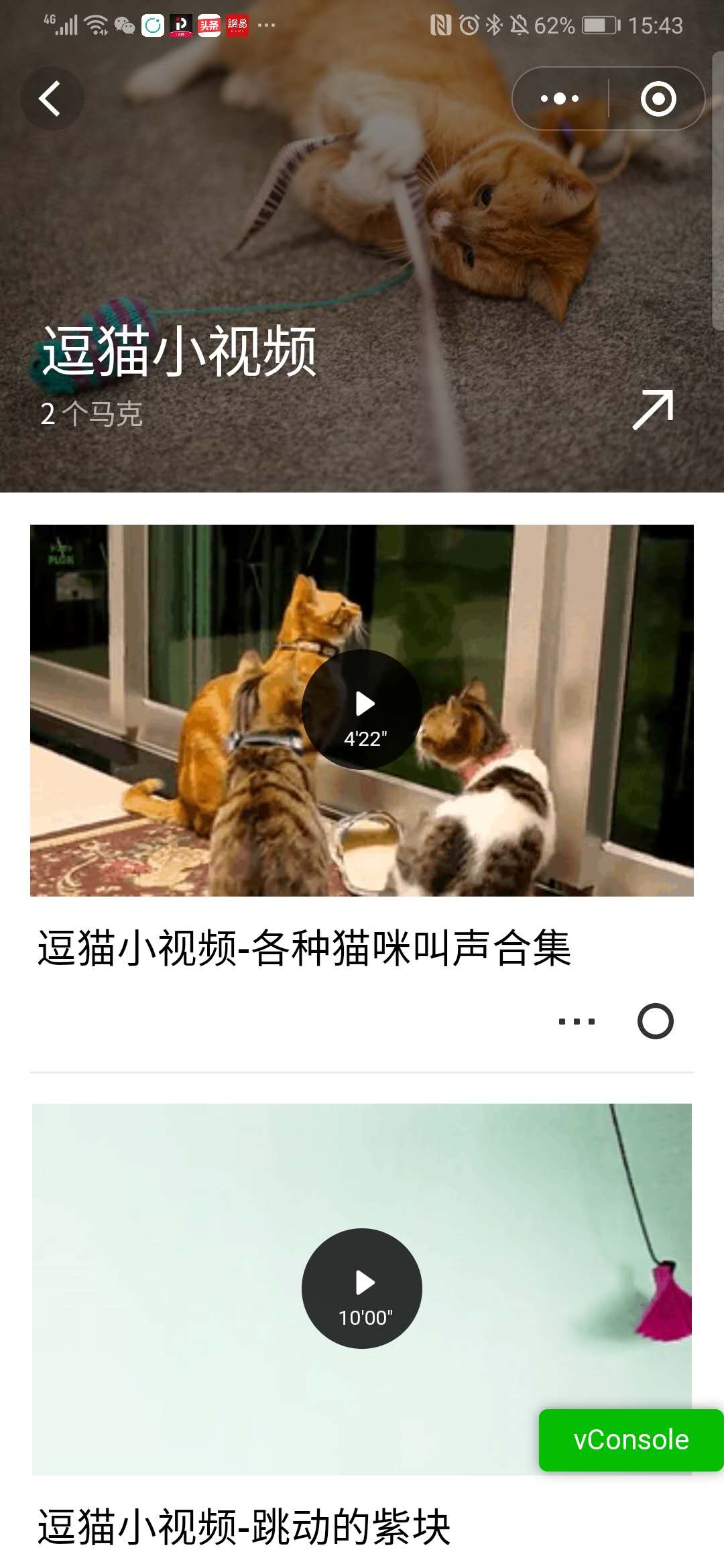 逗猫专用