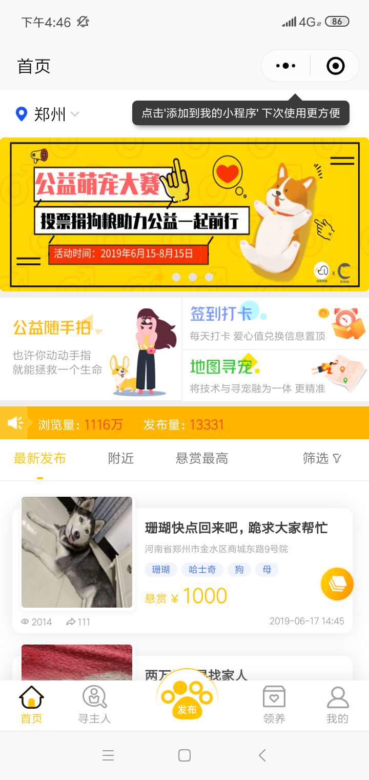 找狗寻狗