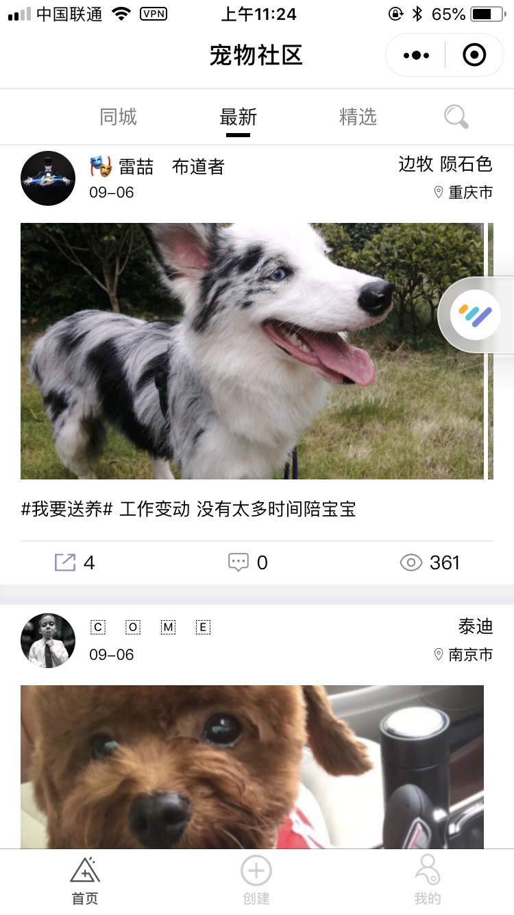 宠物助理