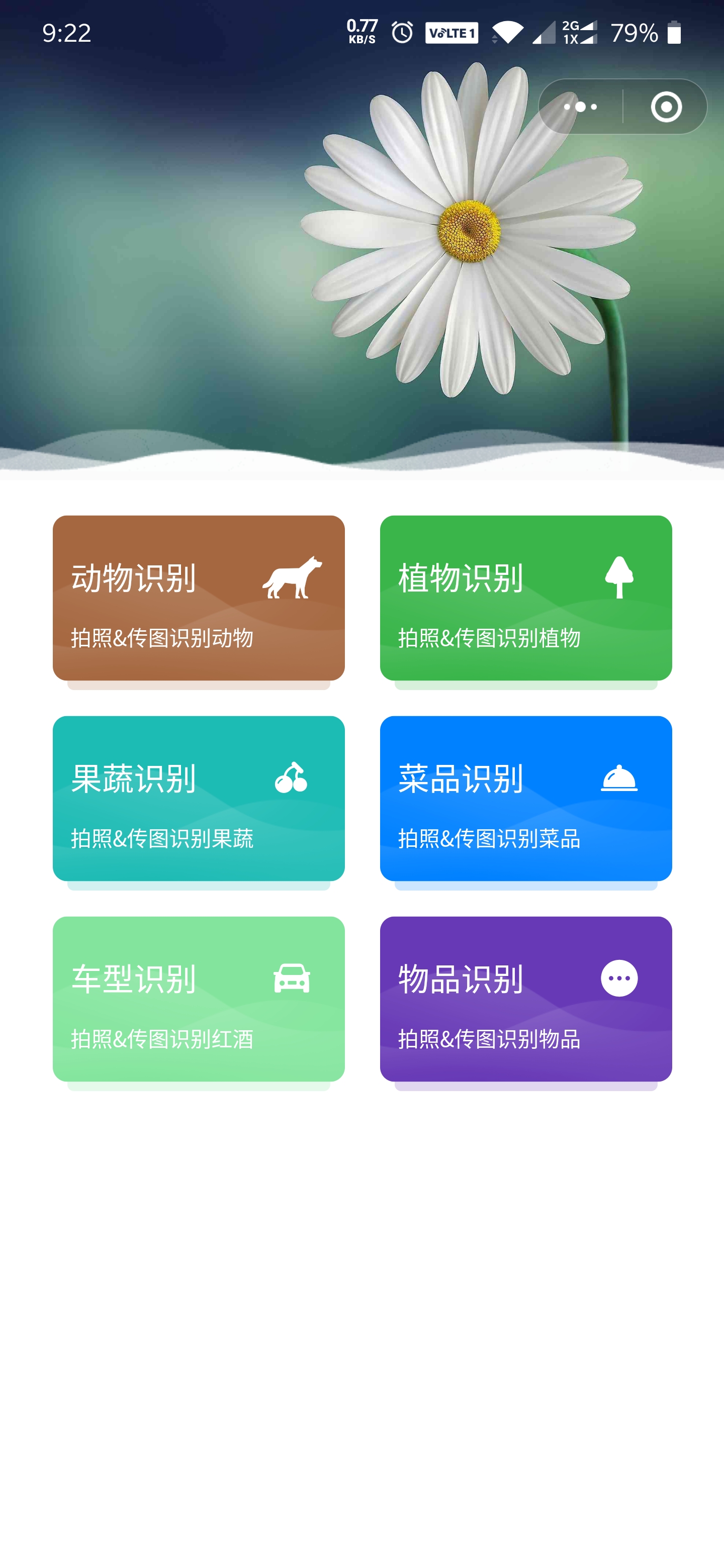 老马识图 A+