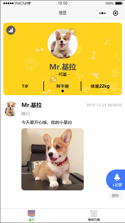 宠豆