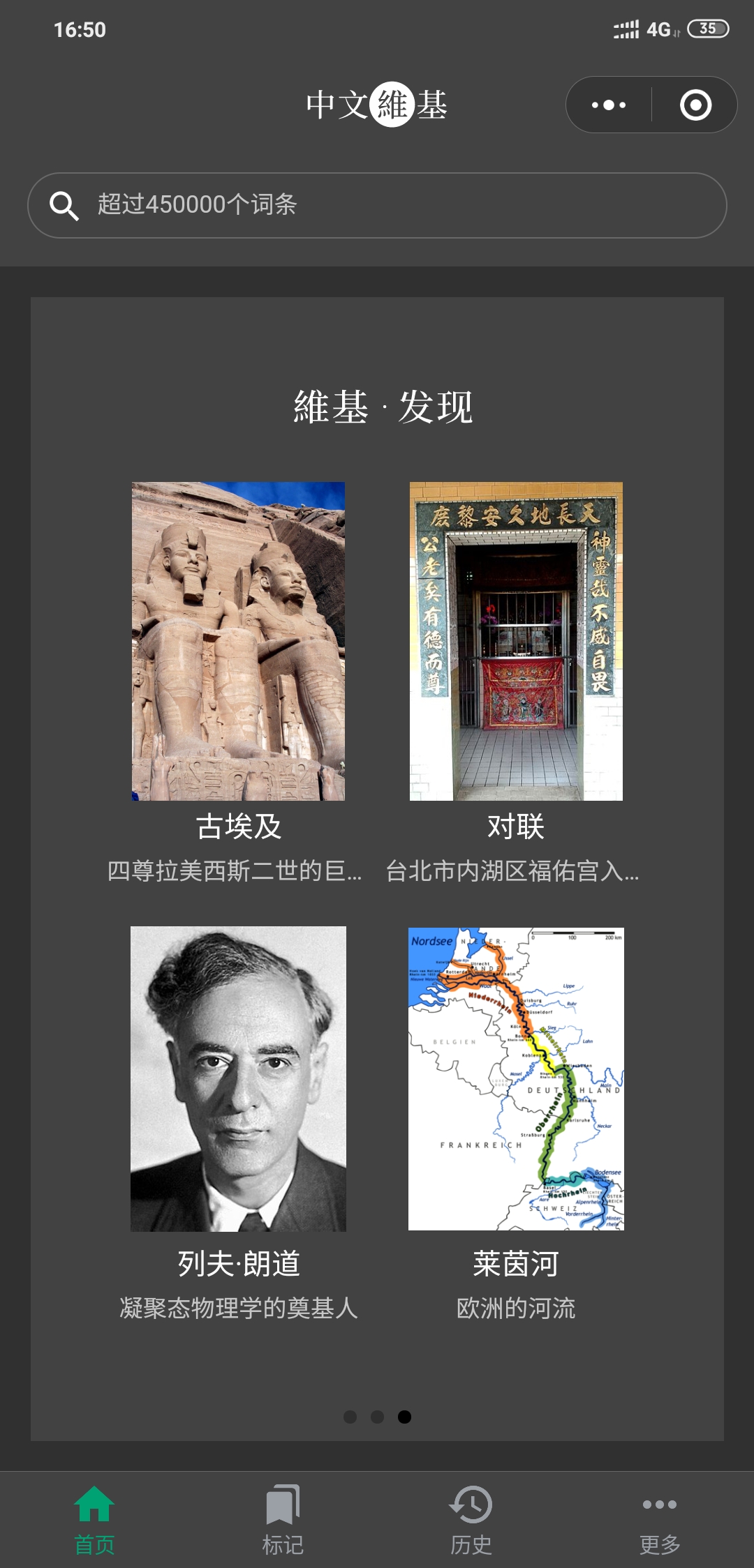 中文维基