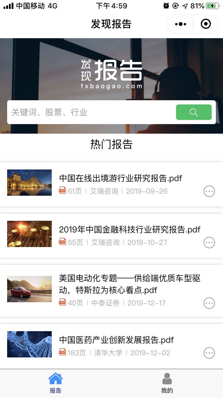发现报告