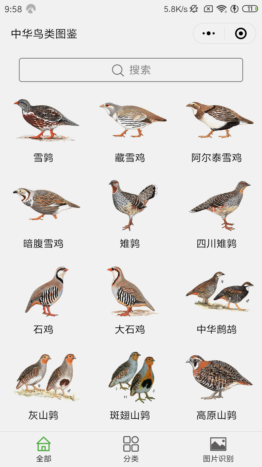 中华鸟类图鉴