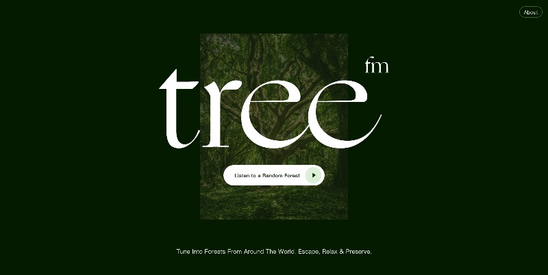 森林电台（静心养神必备）：tree.fm
